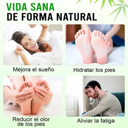 🔥 Parches Kinokis desintoxicantes